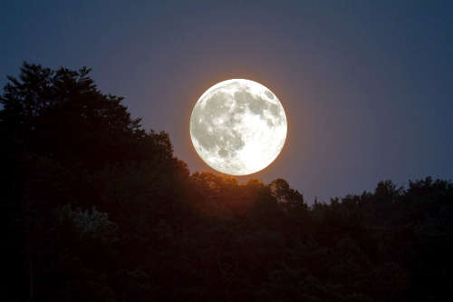 Full moon over tree tops by Kasabubu Pixabay